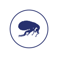 Τσιπς