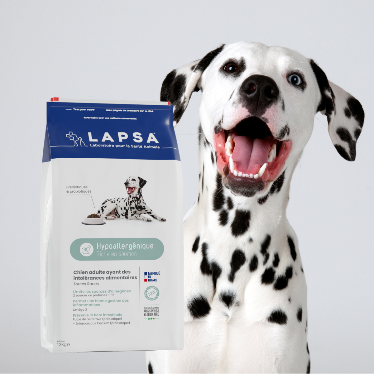 Quel alimentation choisir ?