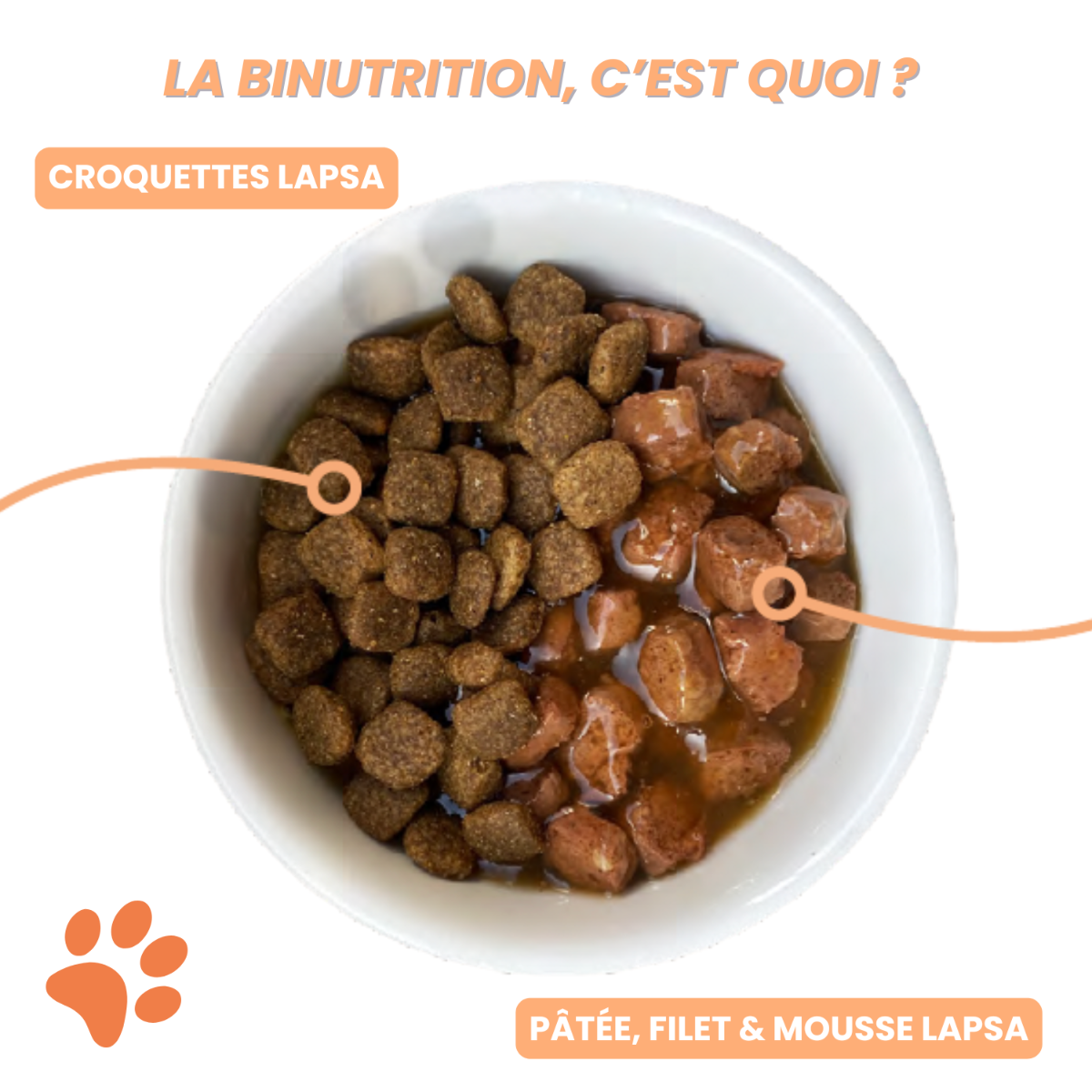 Quel alimentation choisir ?