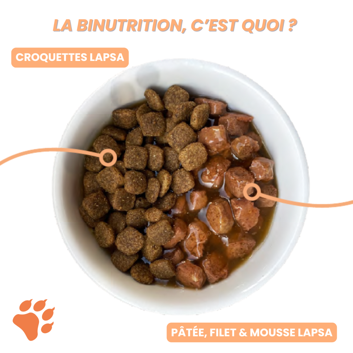 Quel alimentation choisir ?