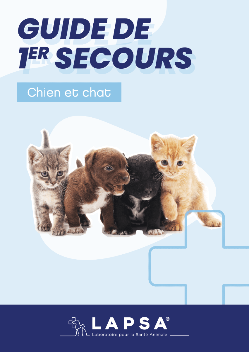 guide premiers secours