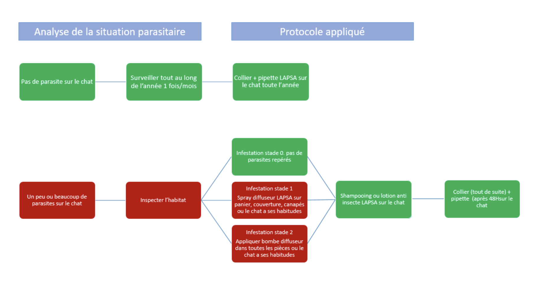 protocole chat