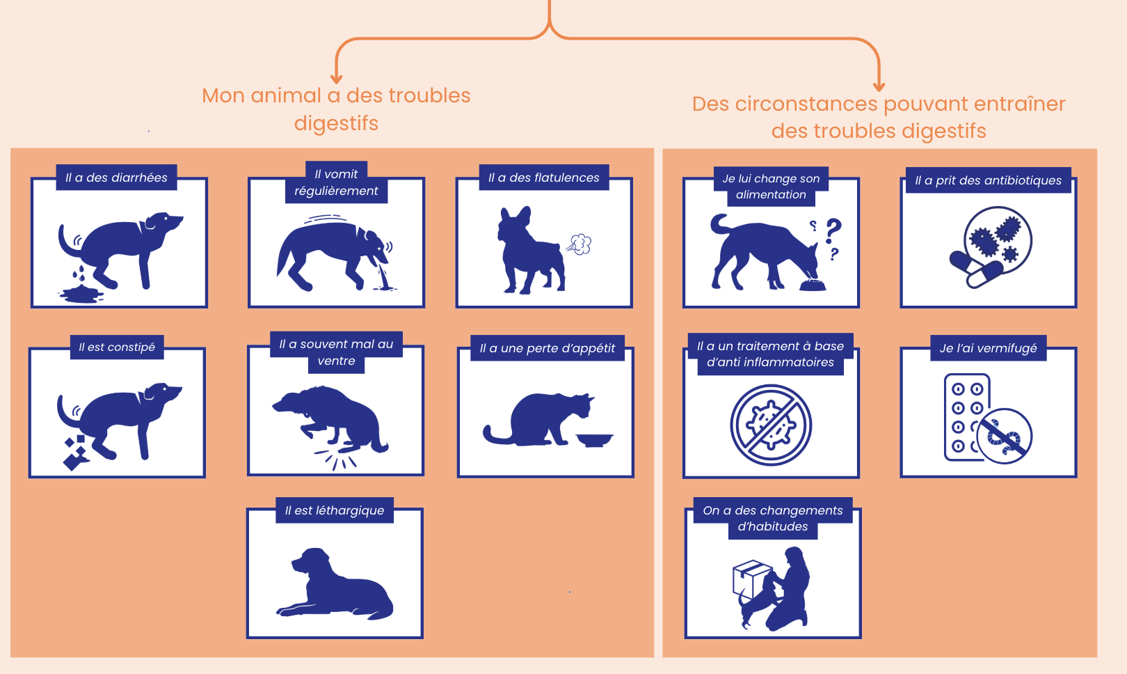 Digestion Lapsa : ma situation, mon animal souffre de problèmes digestifs qui peuvent prendre plusieurs formes ou alors les événements qui peuvent provoquer des troubles digestifs chez le chien.