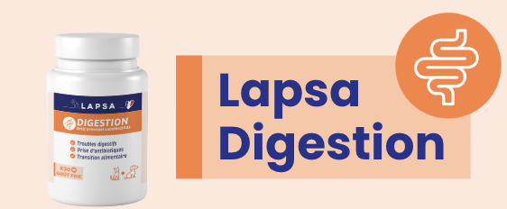 Lapsa Digestion, ce que je dois utiliser