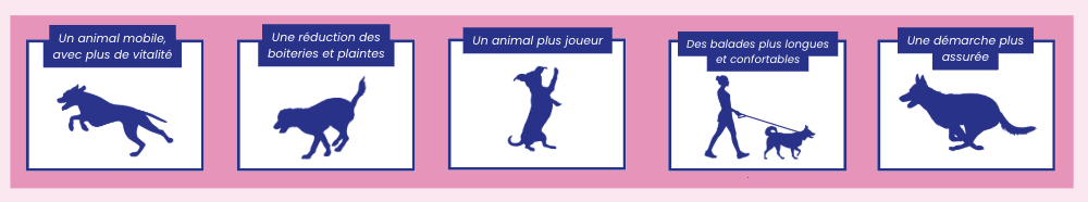 Lapsa articulations : ce que je vois en l'utilisant