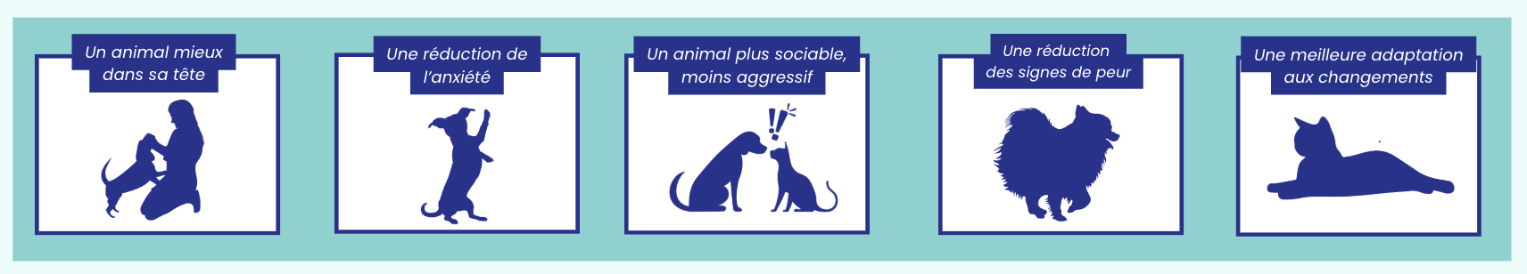 Lapsa Anxiété : ma situation, mon animal est anxieux, tous les symptômes, mon animal est sujet à des situations qui peuvent l'affecter et déclancher des épisodes de stress
