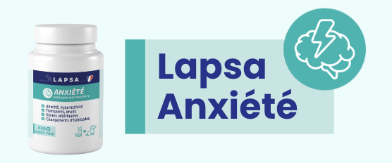 Lapsa Anxiété : ce que je dois utiliser si mon animal stresse