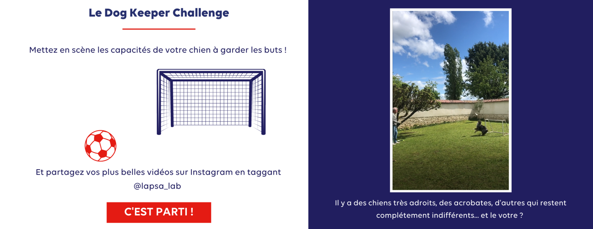Dog Keeper Challenge