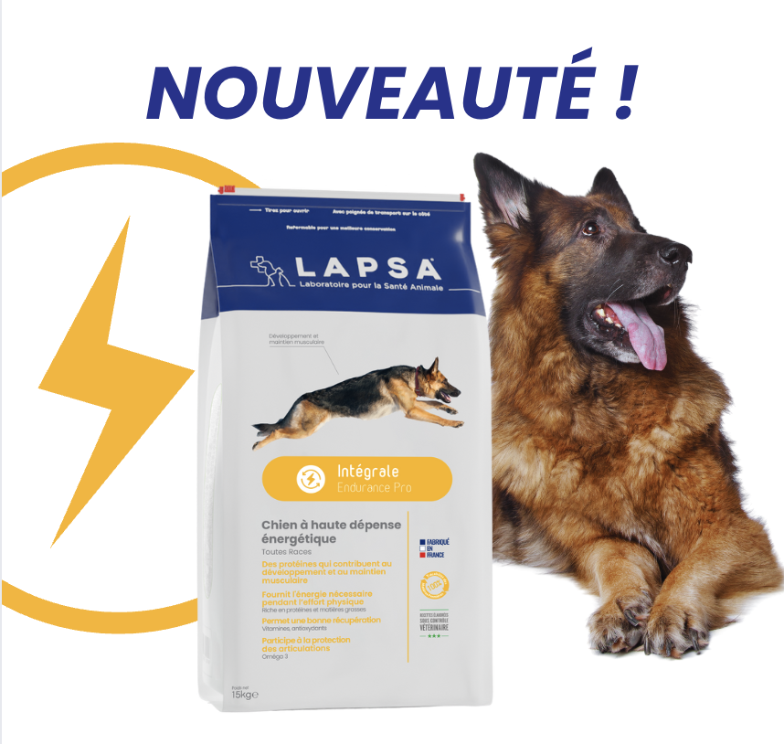 Lapsa Endurance Pro