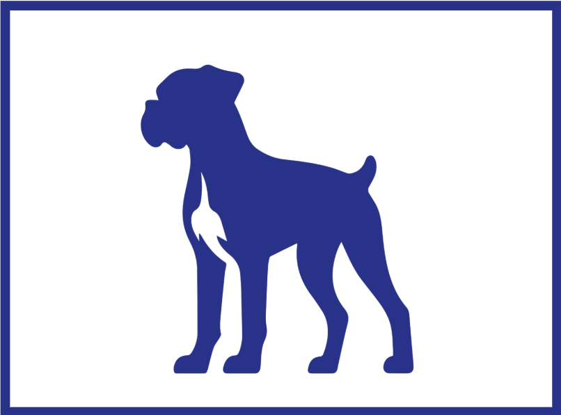 Chien XL