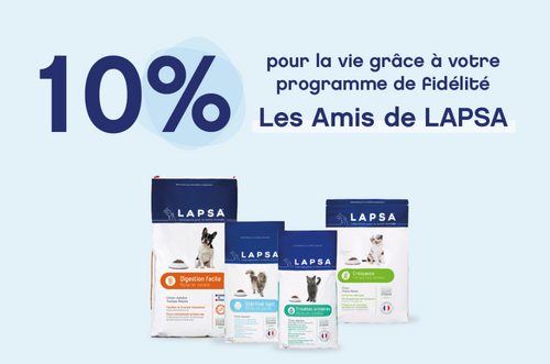 image chien et chat