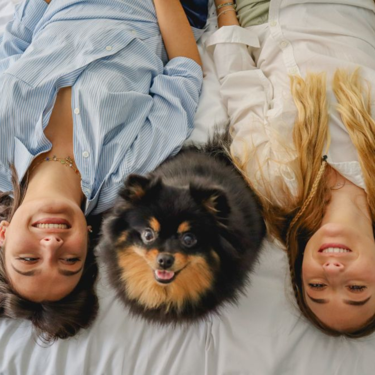 chien entre deux femmes