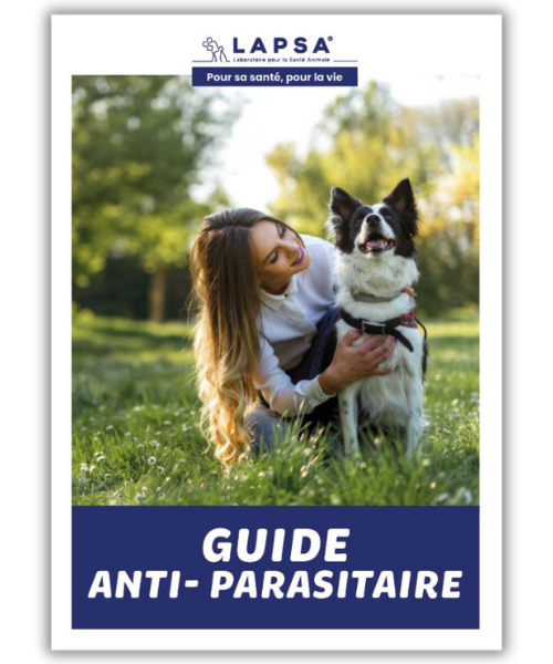 guide antiparasitaires chien et chat
