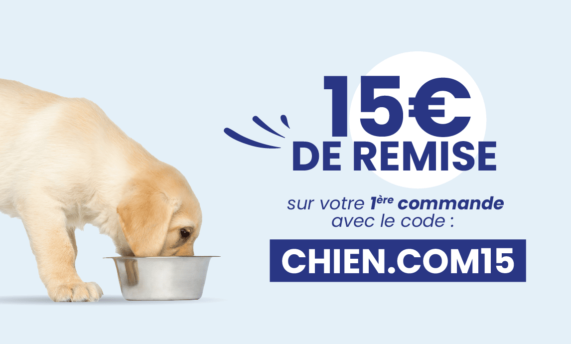 50% avec le code CHIENVOYAGEUR15