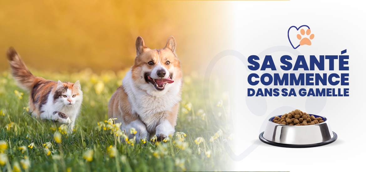 LP_HEADER_OPE_PRINTEMPS