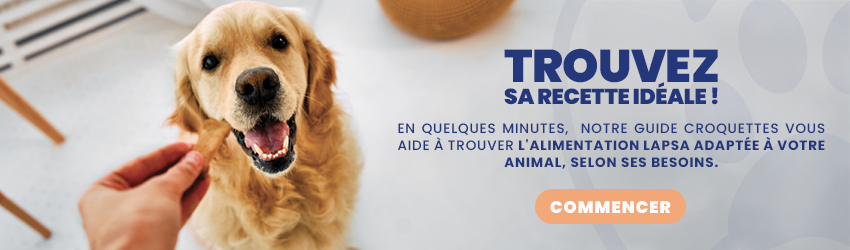 trouvez sa recette idéale