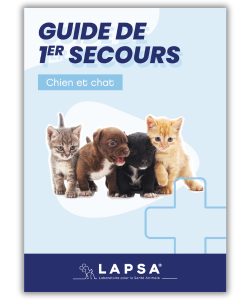 guide Premiers secours chien et chat