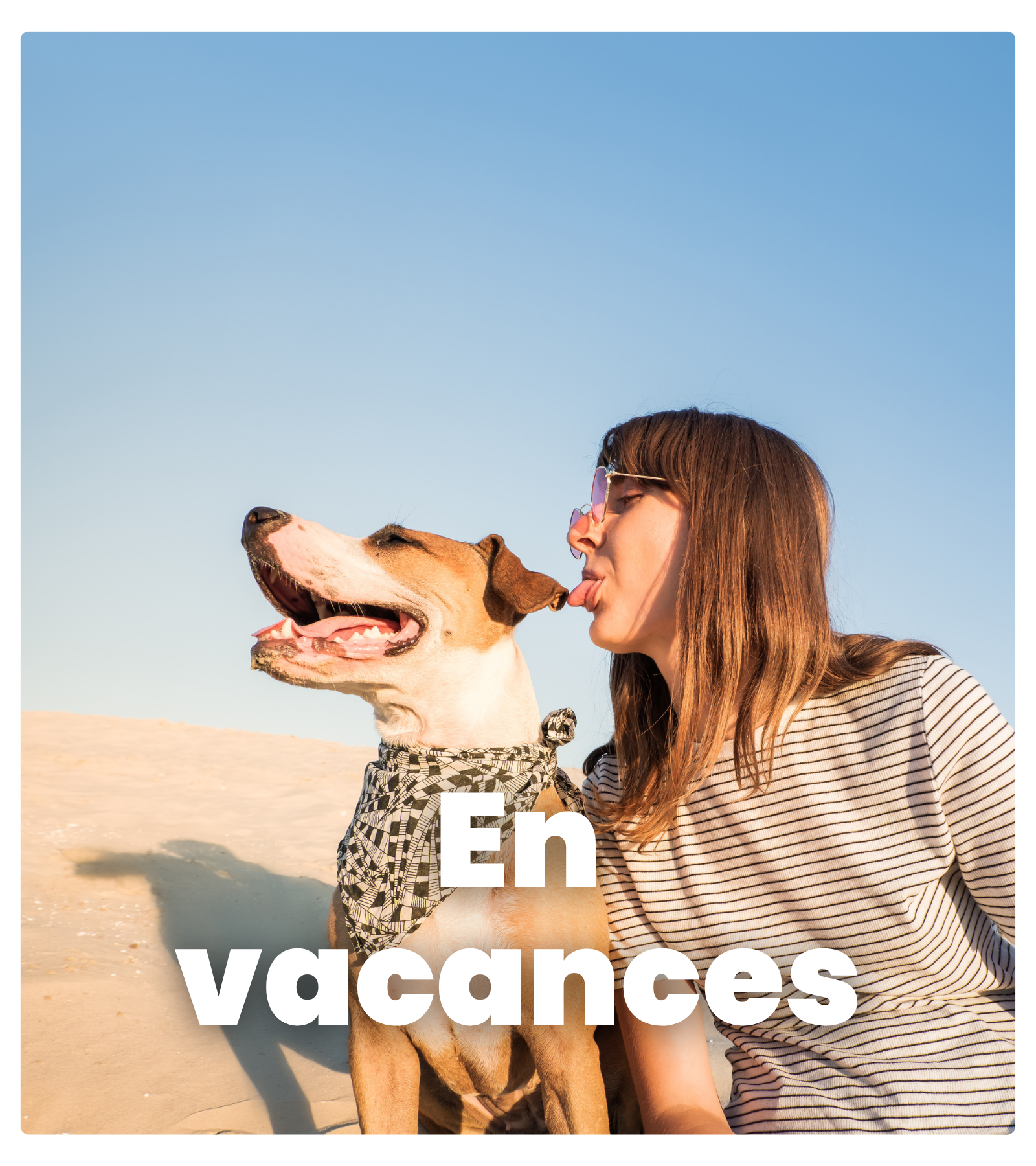 chien en vacances