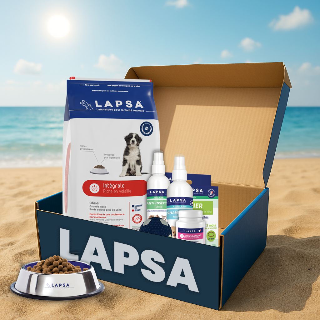 Coffret LAPSA sur la plage