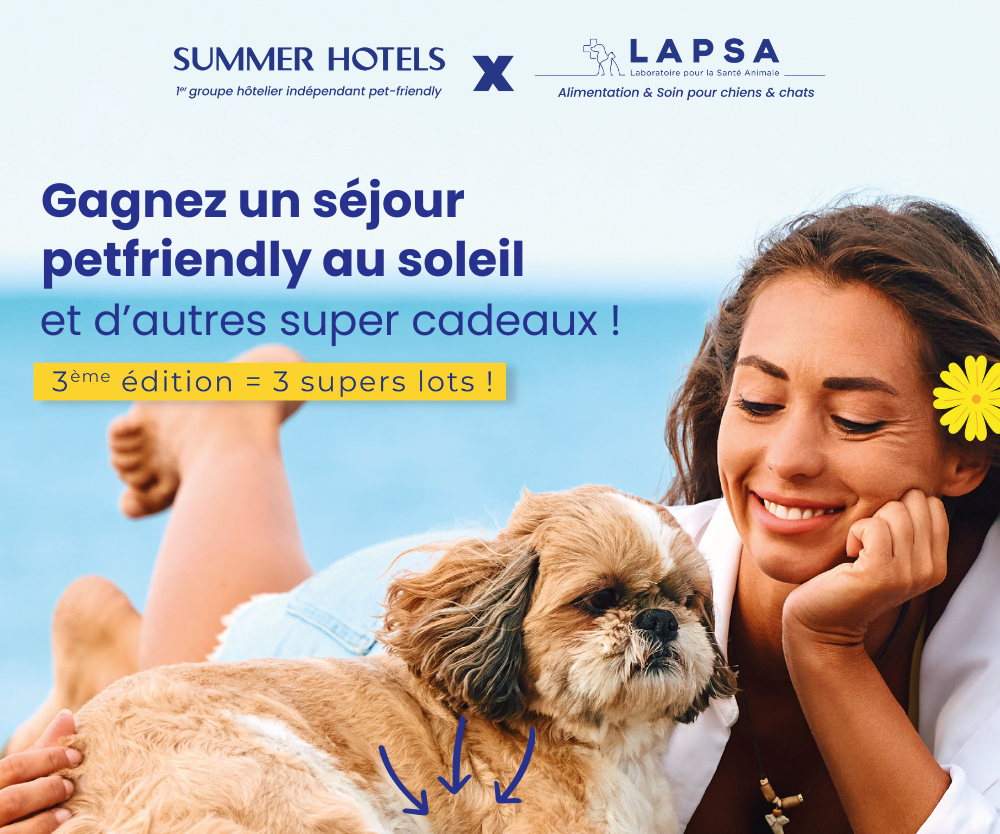 SUMMER HOTEL CONCOURS
