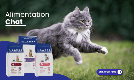 Alimentation chat Troyes