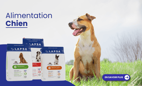 Alimentation chien Troyes
