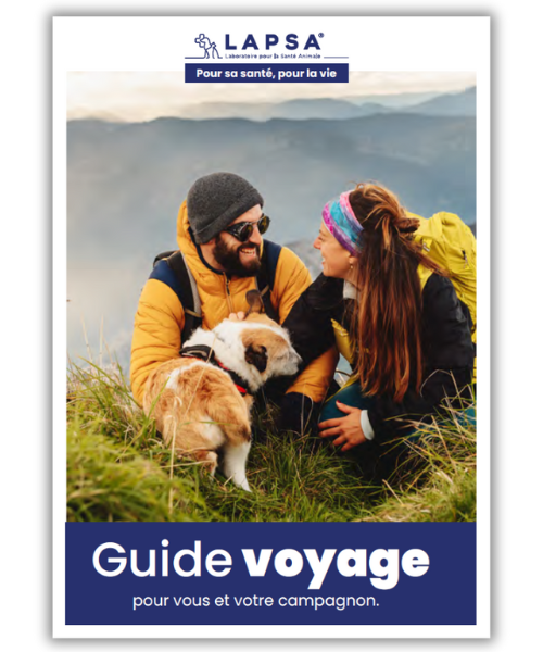 guide voyage chien et chat