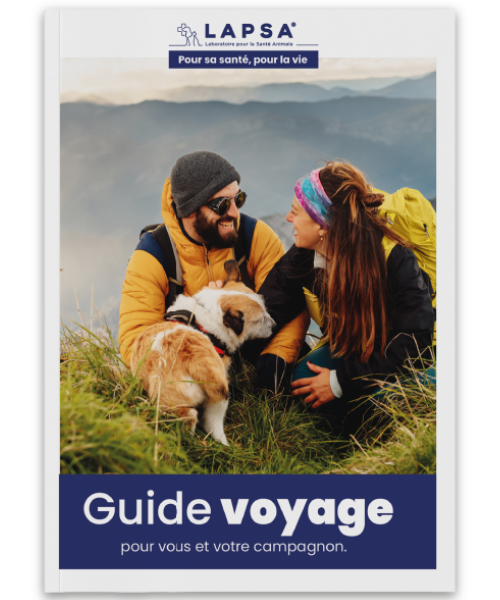 Guide Vacances avec votre animal