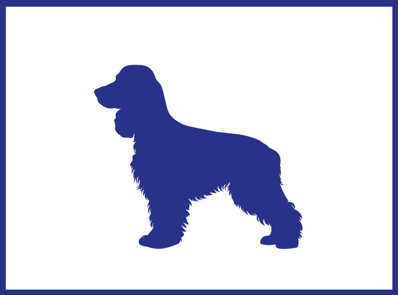 Chien L
