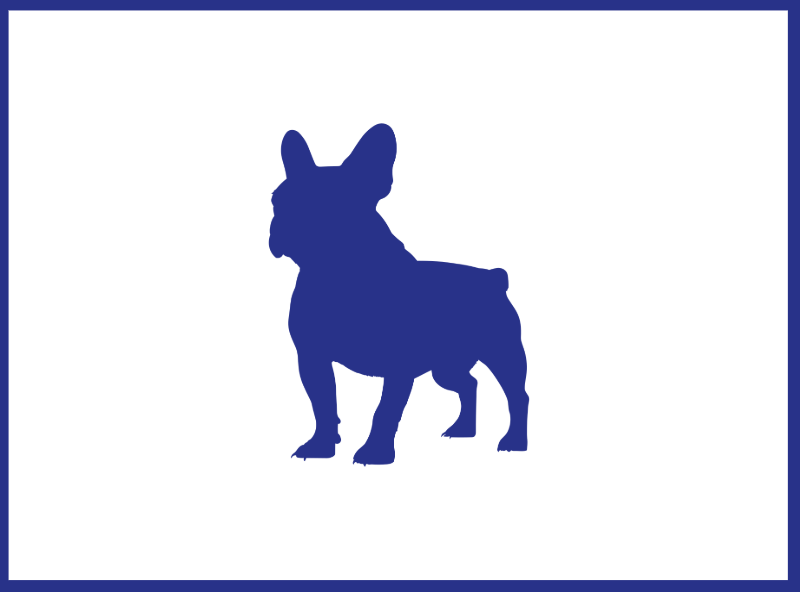 Chien M
