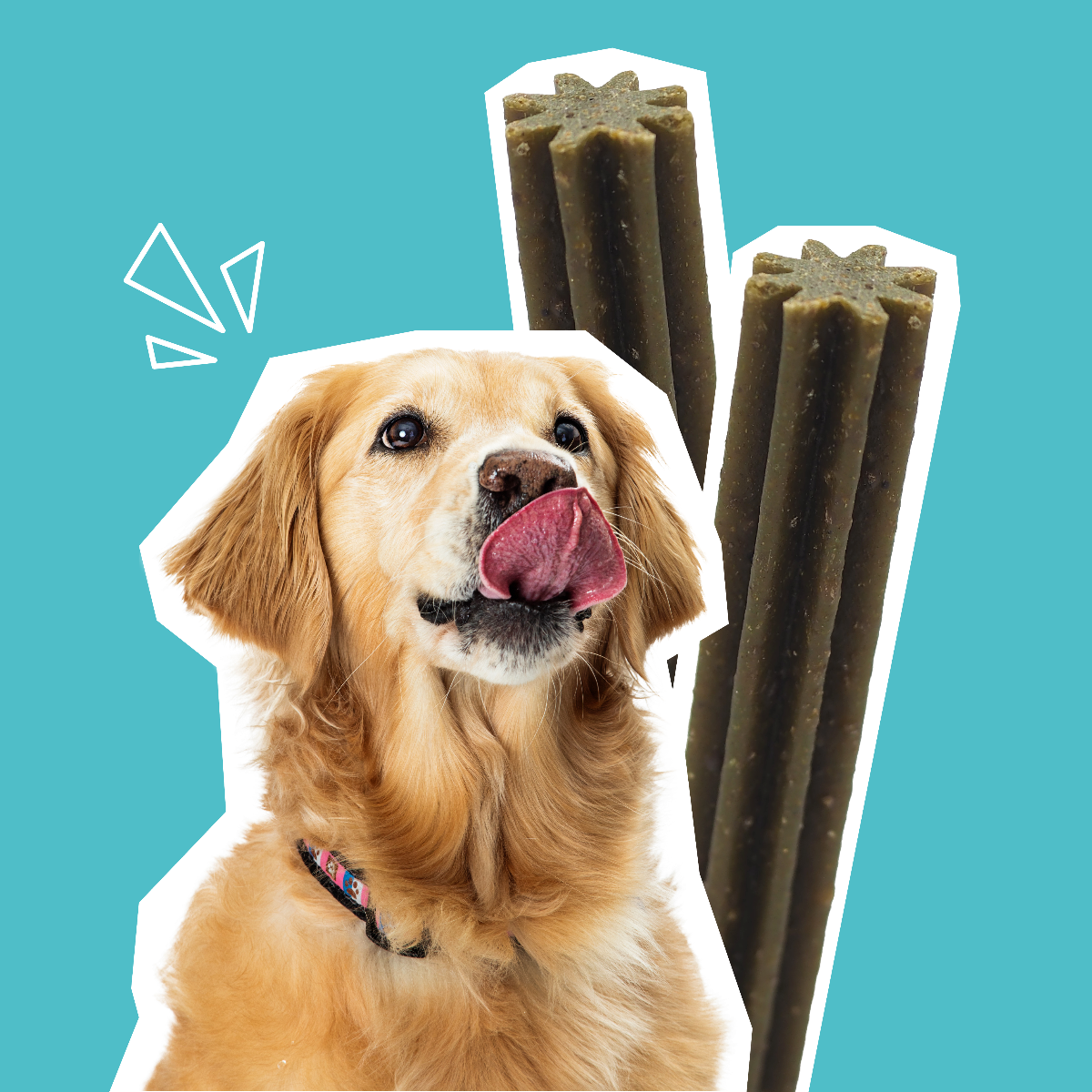 snacks chien