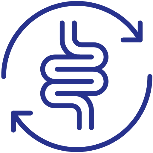 Digestion