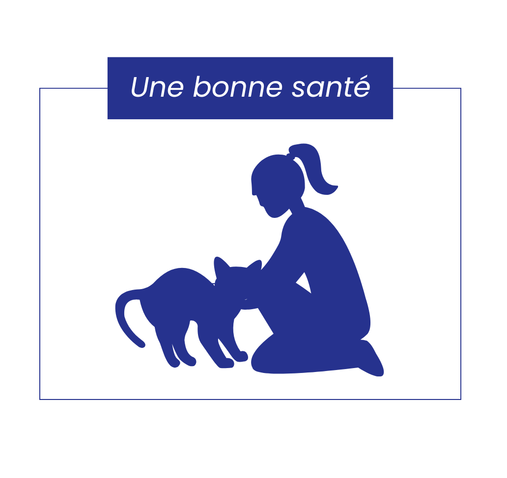 Bonne santé