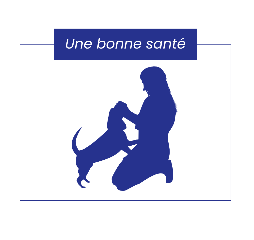 Bonne santé