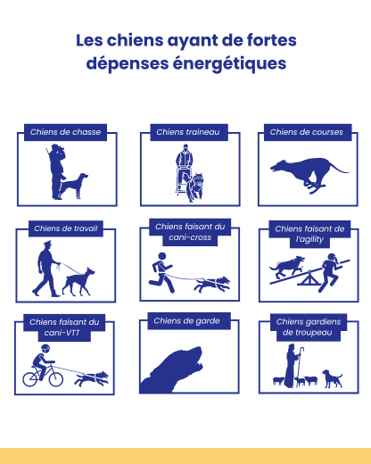 Bénéfices