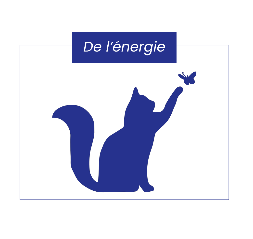 Énergie
