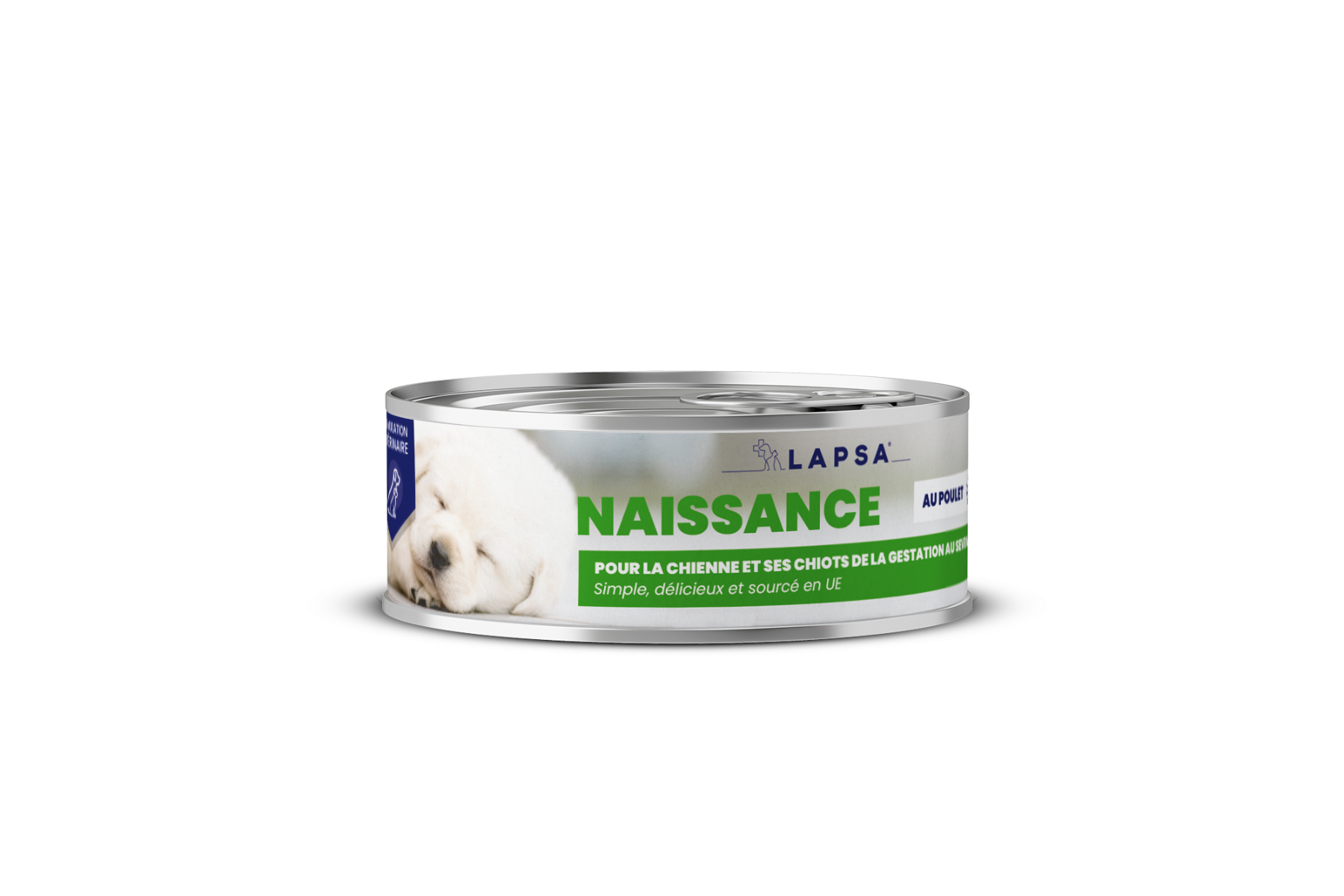 Naissance Chien