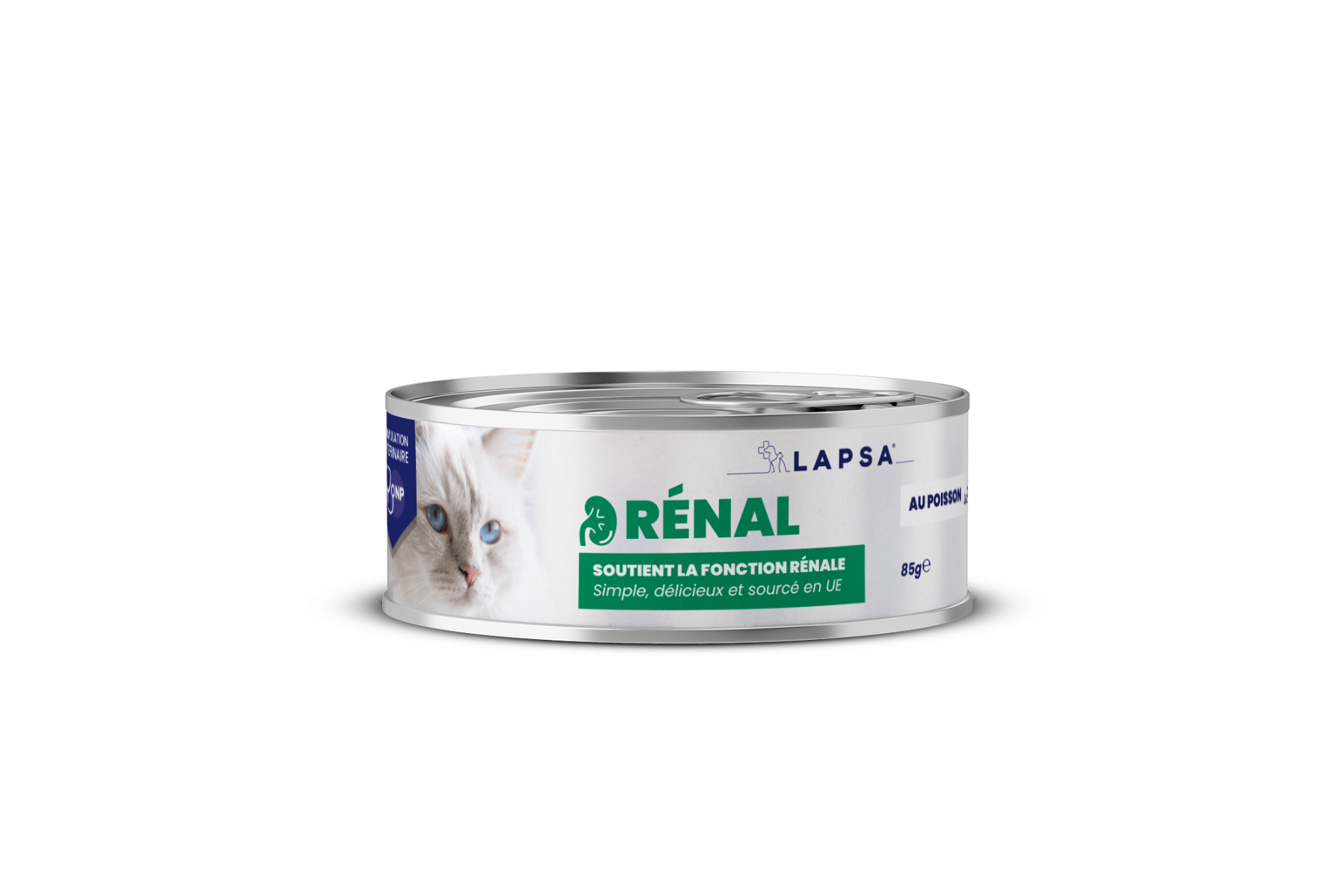 Rénal Poisson Chat