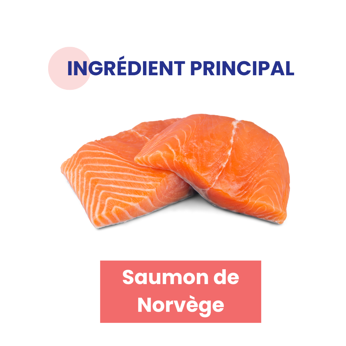 Ingrédient principal SAUMON