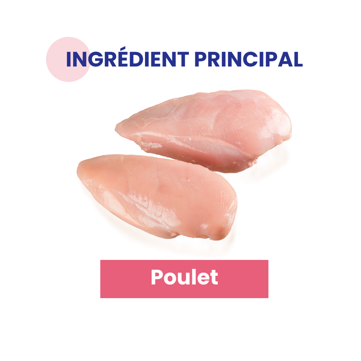 Ingrédient principal volaille