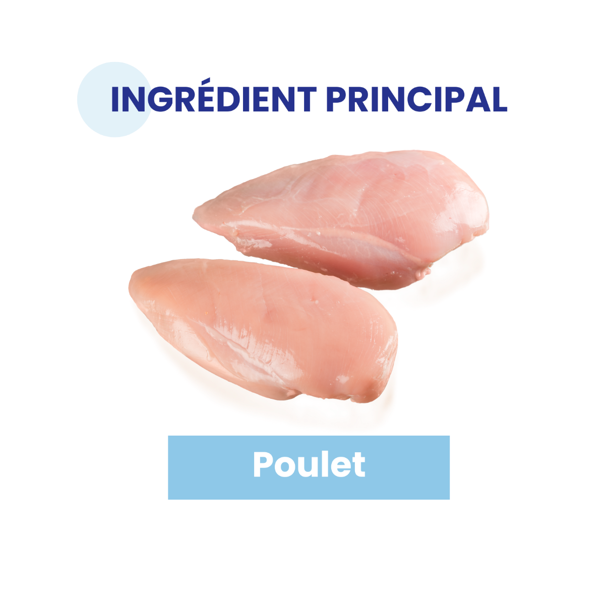 Ingrédient principal volaille
