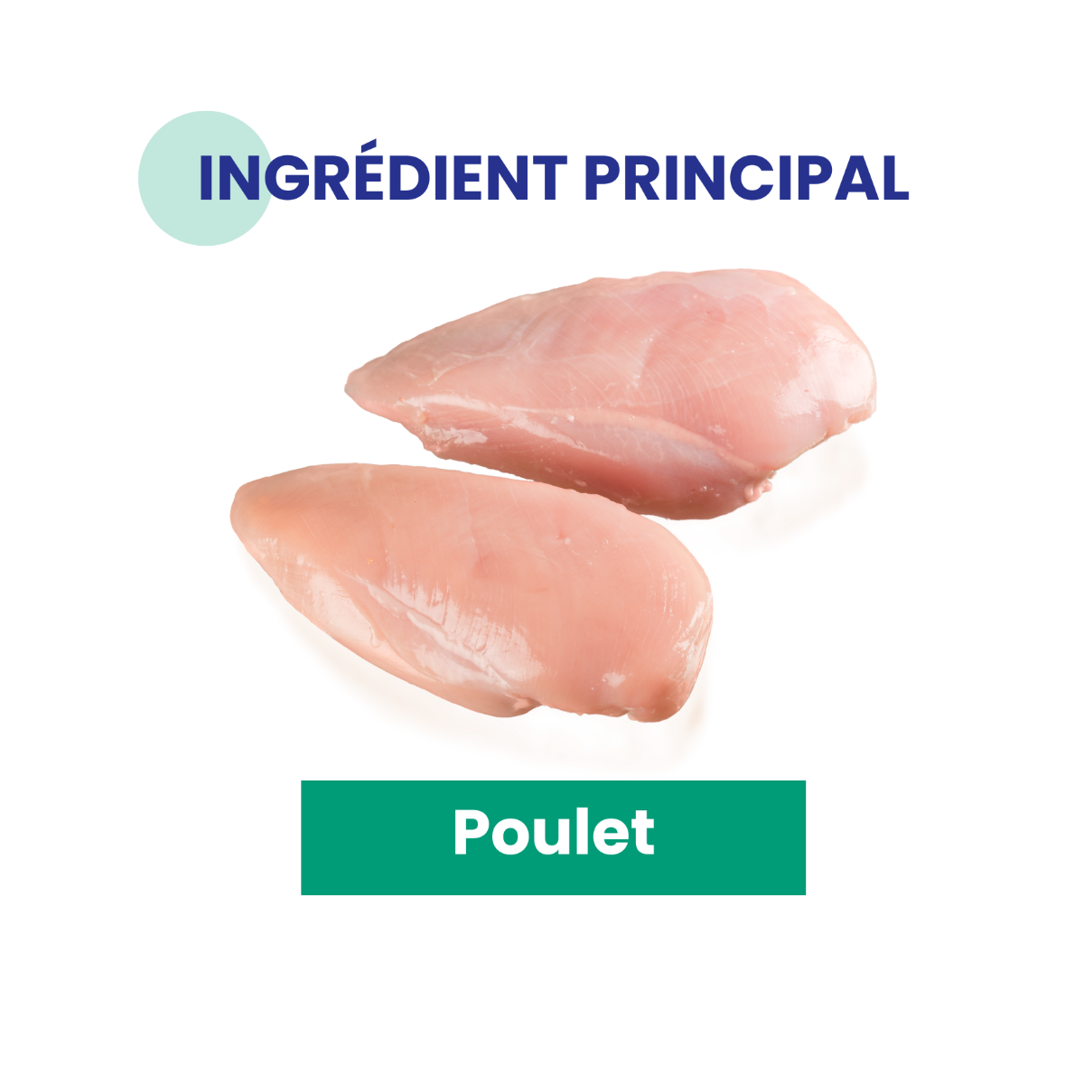 Ingrédient principal volaille