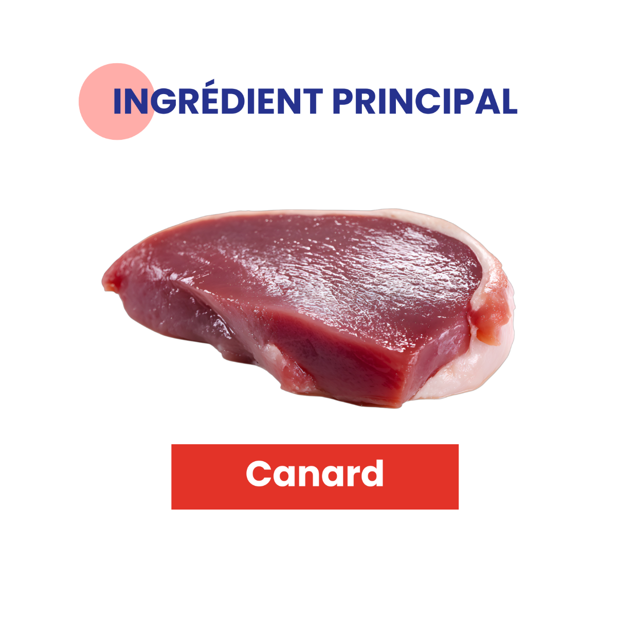 Ingrédient principal volaille