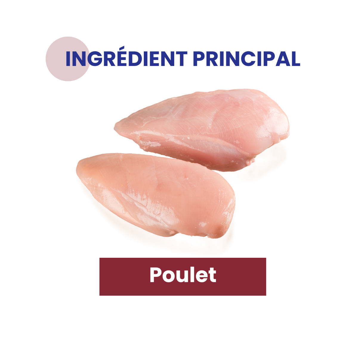 Ingrédient principal volaille