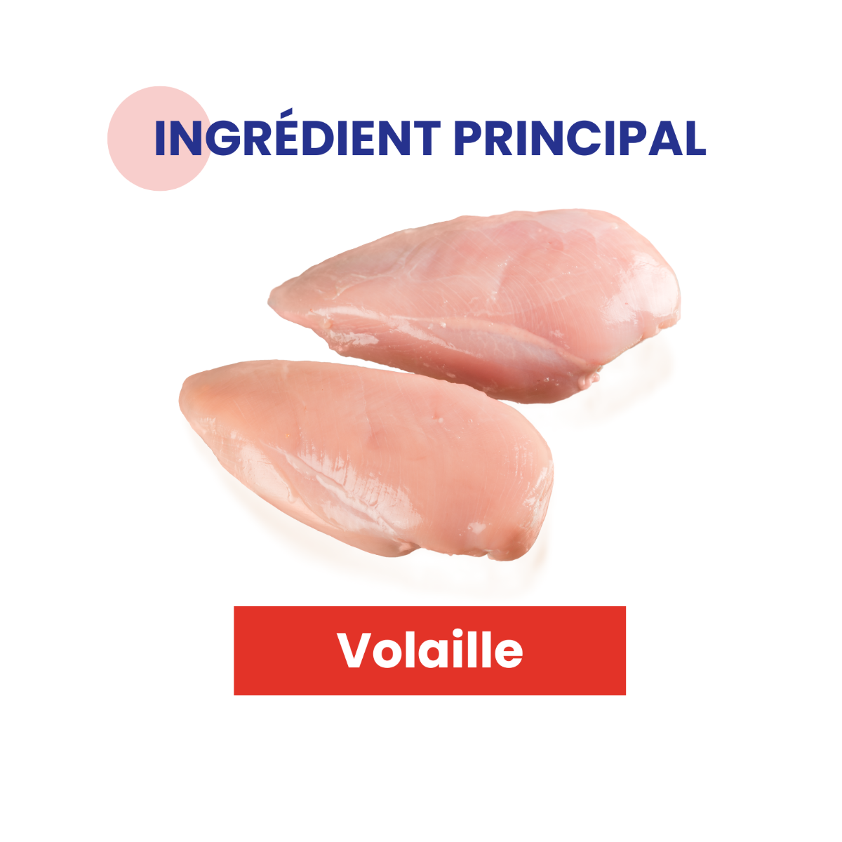 Ingrédient principal volaille