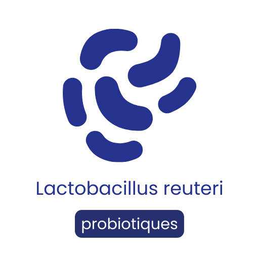 Lactobacillus reuteri