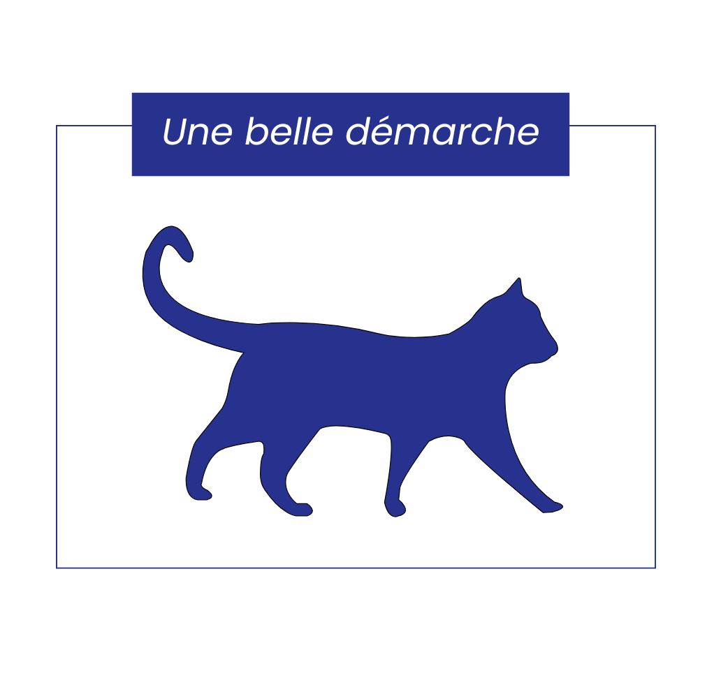 Mobilité