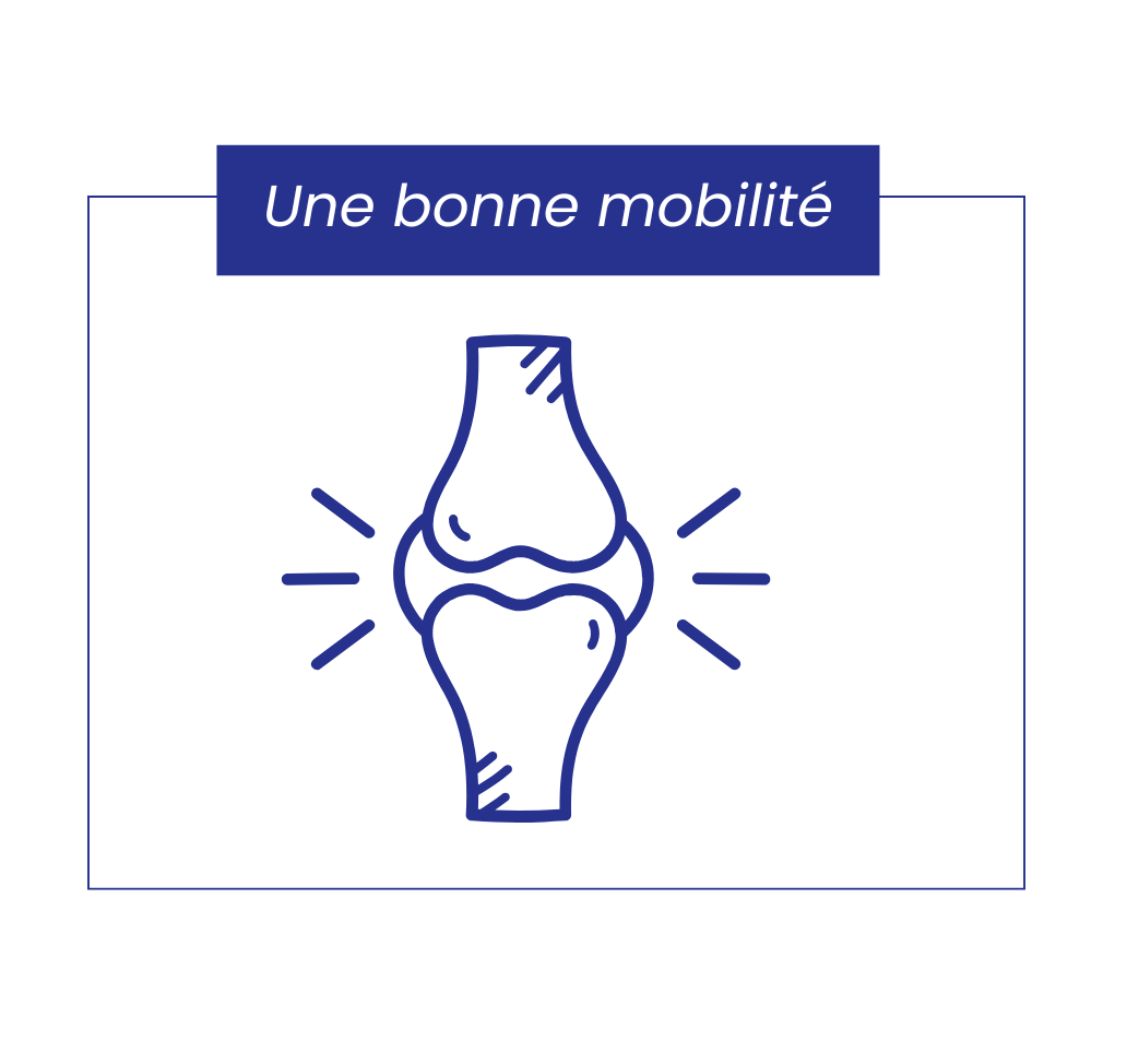 Mobilité