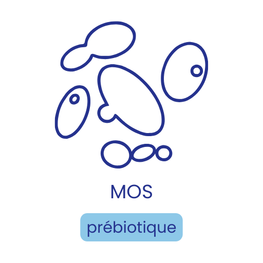 MOS