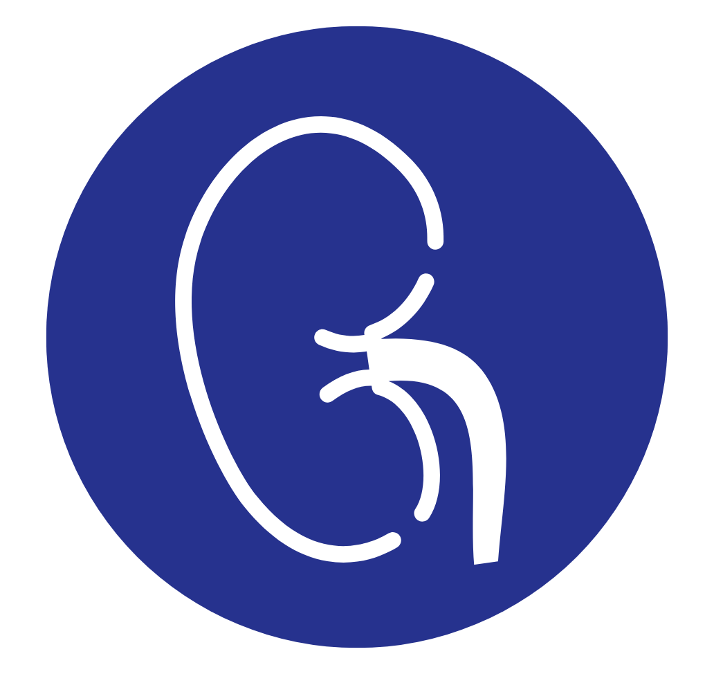 Soutien de la fonction rénale